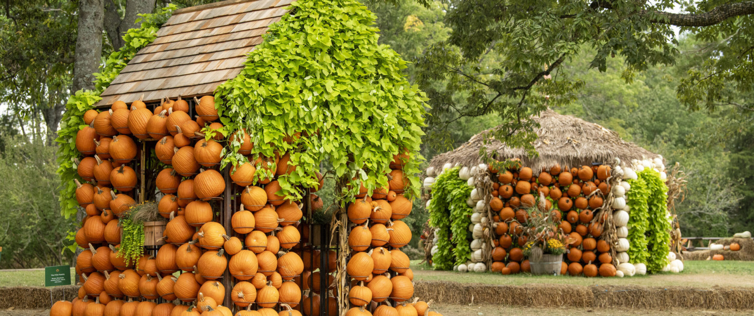 Pumpkin houses at Cheekwood