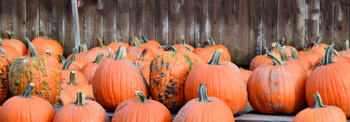 Fall and Halloween in Nashville